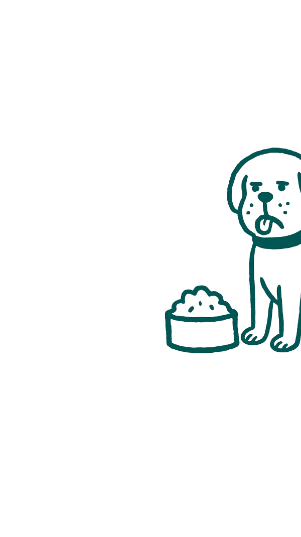 Votre chien est difficile parce que sa gamelle n'est pas assez appétente, parce qu'elle manque de viande, parce que la texture ne lui convient pas ou parce qu'il a des sensibilités digestive.