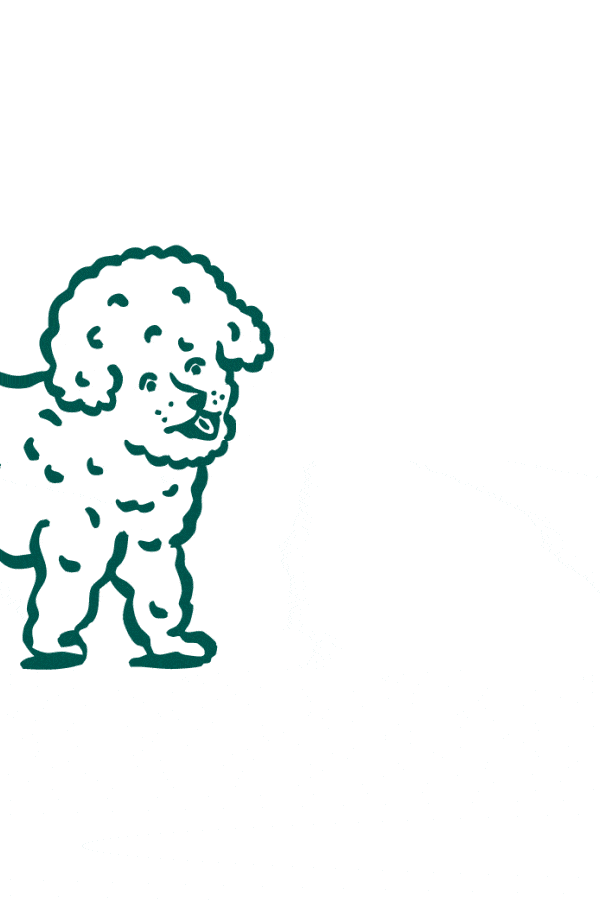 Signes de problèmes dentaires chez le chien : tartre, mauvaise haleine, plaque dentaire, dents abimées, maladies parodontales.