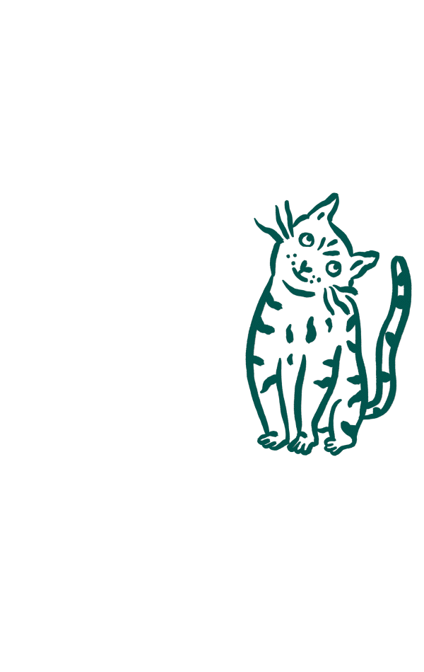 Problèmes de peau chez le chat : pelage terne, démangeaisons, perte de poils excessive, peau irritée avec rougeurs et croûtes.