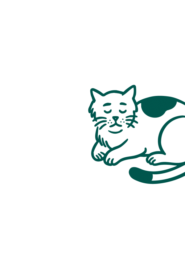 Principaux effets du vieillissement chez le chat : arthrose qui touche les articulations et le cartilage, prise de poids par manque d’activité, transit plus lent et troubles rénaux à cause de l'alimentation trop riche en minéraux.