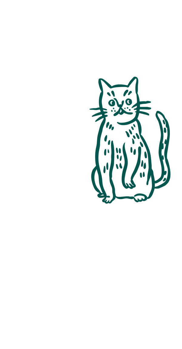 Risques du surpoids chez le chat : maladies articulaires, problèmes cardiaques, diabète et baisse d’espérance de vie.