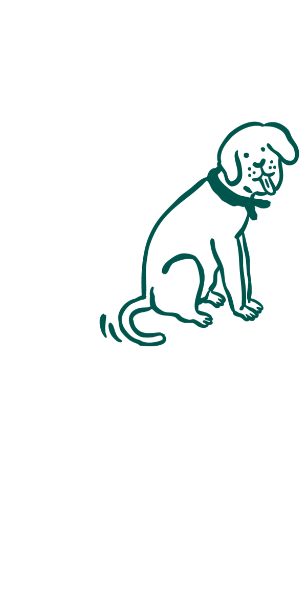 Risques du surpoids chez le chien : maladies articulaires, problèmes cardiaques, diabète et baisse d’espérance de vie.