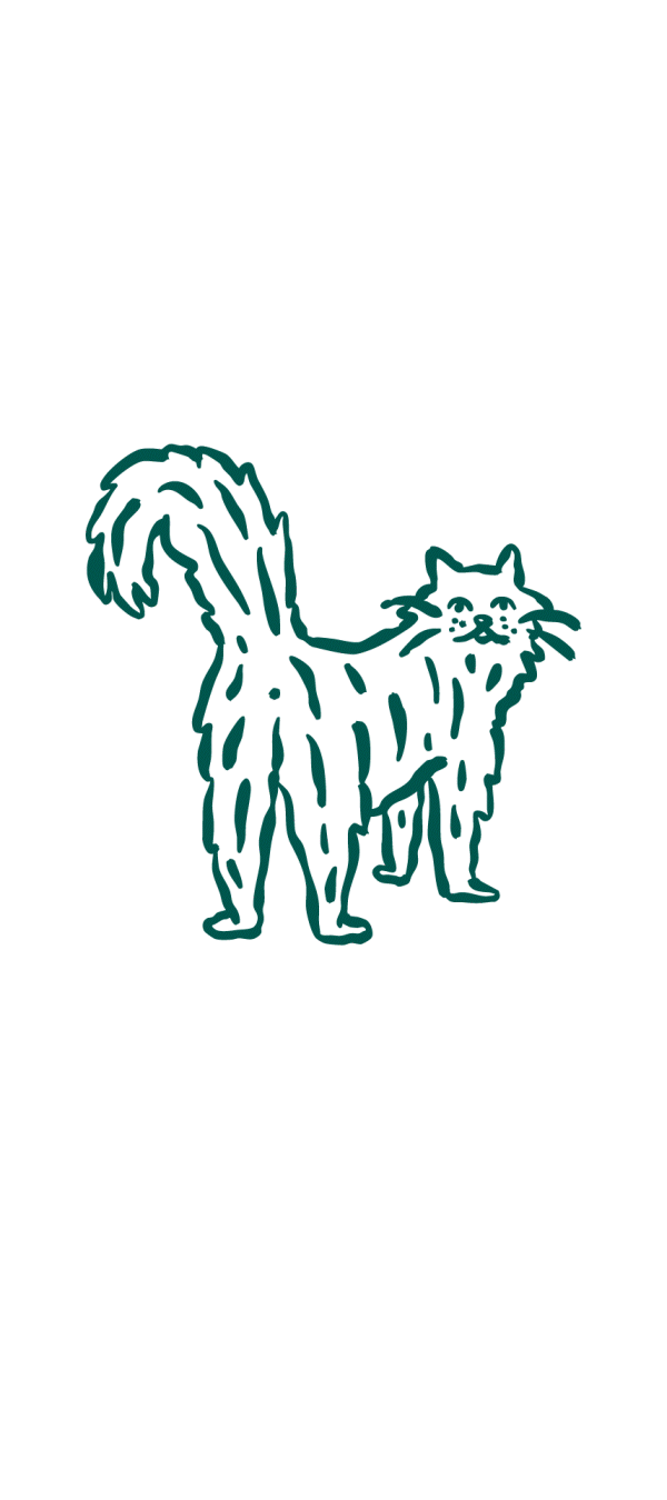 Symptômes des troubles urinaires chez le chat : miaulements à la litière, urines fréquentes, traces de sang, douleurs ou accidents répétés.