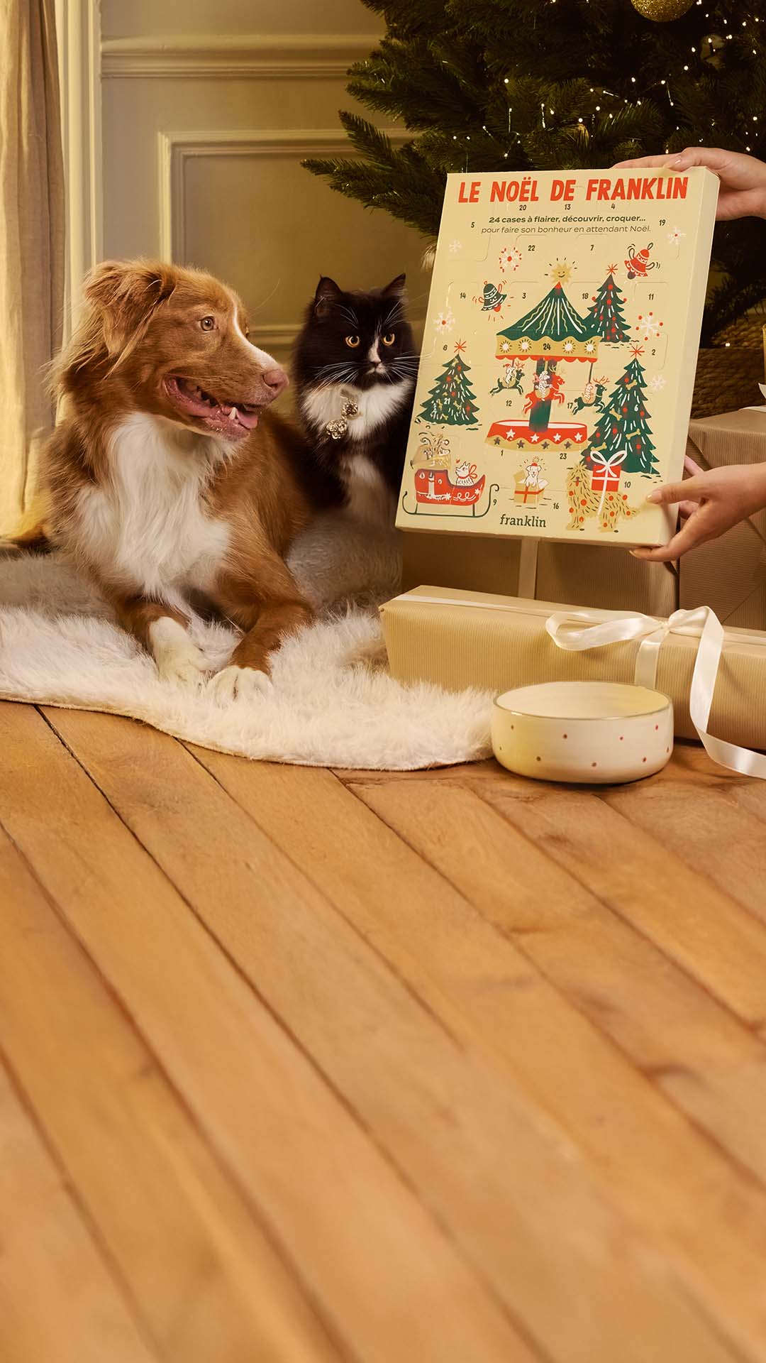 Franklin Alimentation premium pour chien et chat. Choisissez la meilleure nourriture pour votre animal : Croquettes sans céréales riches en protéines et faibles en glucides. Découvrez notre large gamme de pâtées et de friandises riches en viande !