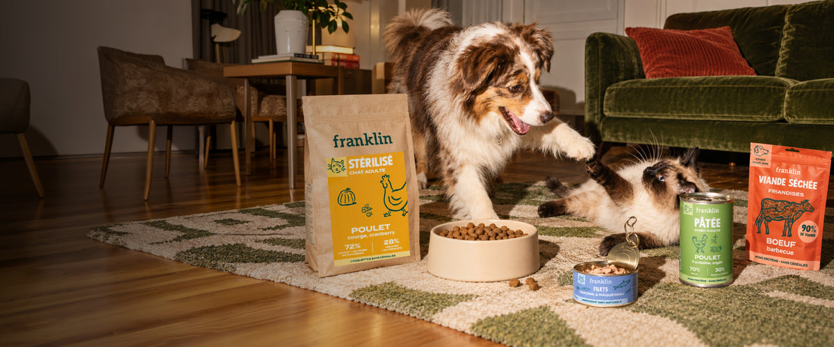 Franklin Alimentation premium pour chien et chat. Choisissez la meilleure nourriture pour votre animal : Croquettes sans céréales riches en protéines et faibles en glucides. Découvrez notre large gamme de pâtées et de friandises riches en viande !