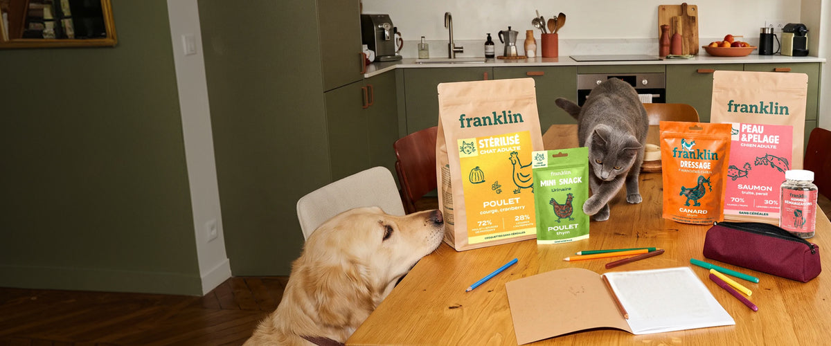 Franklin Alimentation premium pour chien et chat. Choisissez la meilleure nourriture pour votre animal : Croquettes sans céréales riches en protéines et faibles en glucides. Découvrez notre large gamme de pâtées et de friandises riches en viande !
