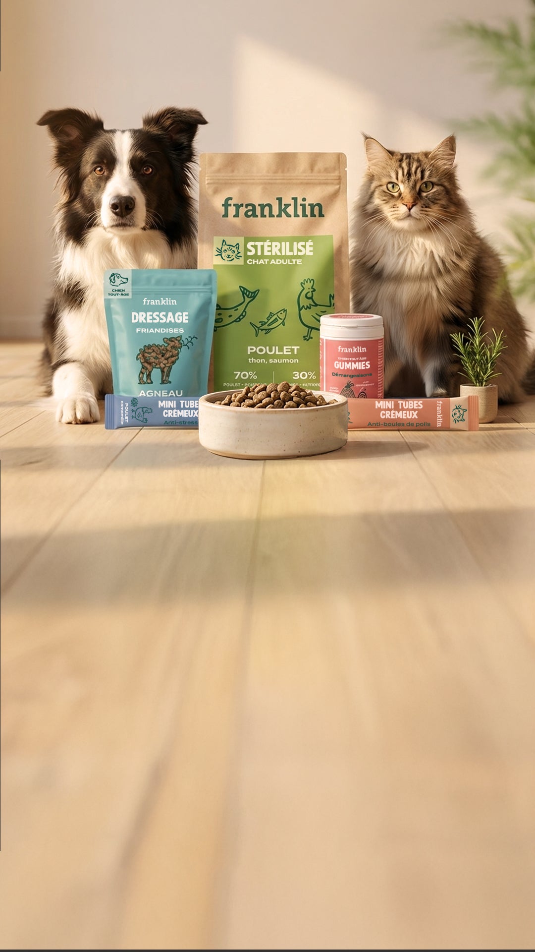 Franklin Alimentation premium pour chien et chat. Choisissez la meilleure nourriture pour votre animal : Croquettes sans céréales riches en protéines et faibles en glucides. Découvrez notre large gamme de pâtées et de friandises riches en viande !