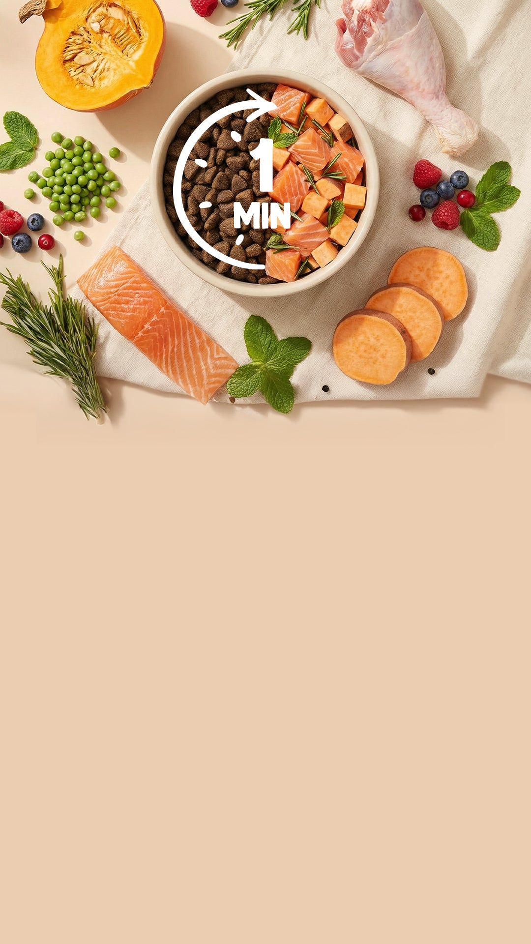 Franklin Alimentation premium pour chien et chat. Choisissez la meilleure nourriture pour votre animal : Croquettes sans céréales riches en protéines et faibles en glucides. Découvrez notre large gamme de pâtées et de friandises riches en viande !