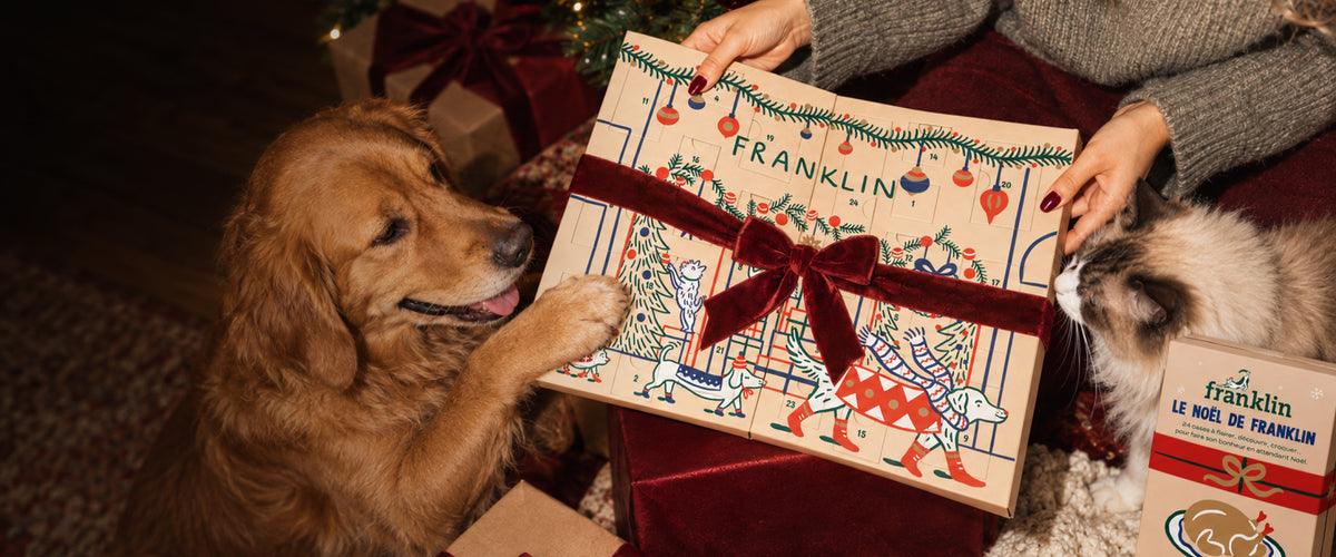Franklin Alimentation premium pour chien et chat. Choisissez la meilleure nourriture pour votre animal : Croquettes sans céréales riches en protéines et faibles en glucides. Découvrez notre large gamme de pâtées et de friandises riches en viande !