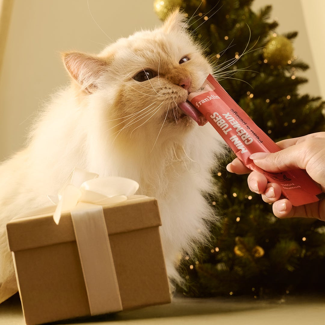 Franklin Alimentation premium pour chien et chat. Choisissez la meilleure nourriture pour votre animal : Croquettes sans céréales riches en protéines et faibles en glucides. Découvrez notre large gamme de pâtées et de friandises riches en viande !