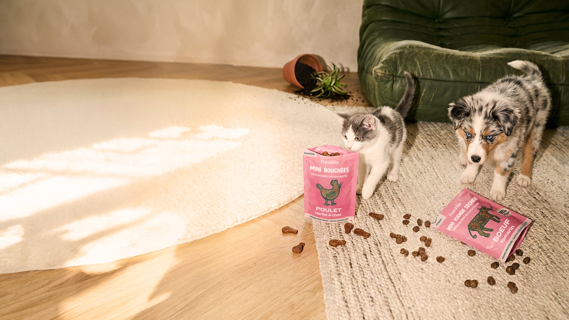 Franklin Alimentation premium pour chien et chat. Choisissez la meilleure nourriture pour votre animal : Croquettes sans céréales riches en protéines et faibles en glucides. Découvrez notre large gamme de pâtées et de friandises riches en viande !