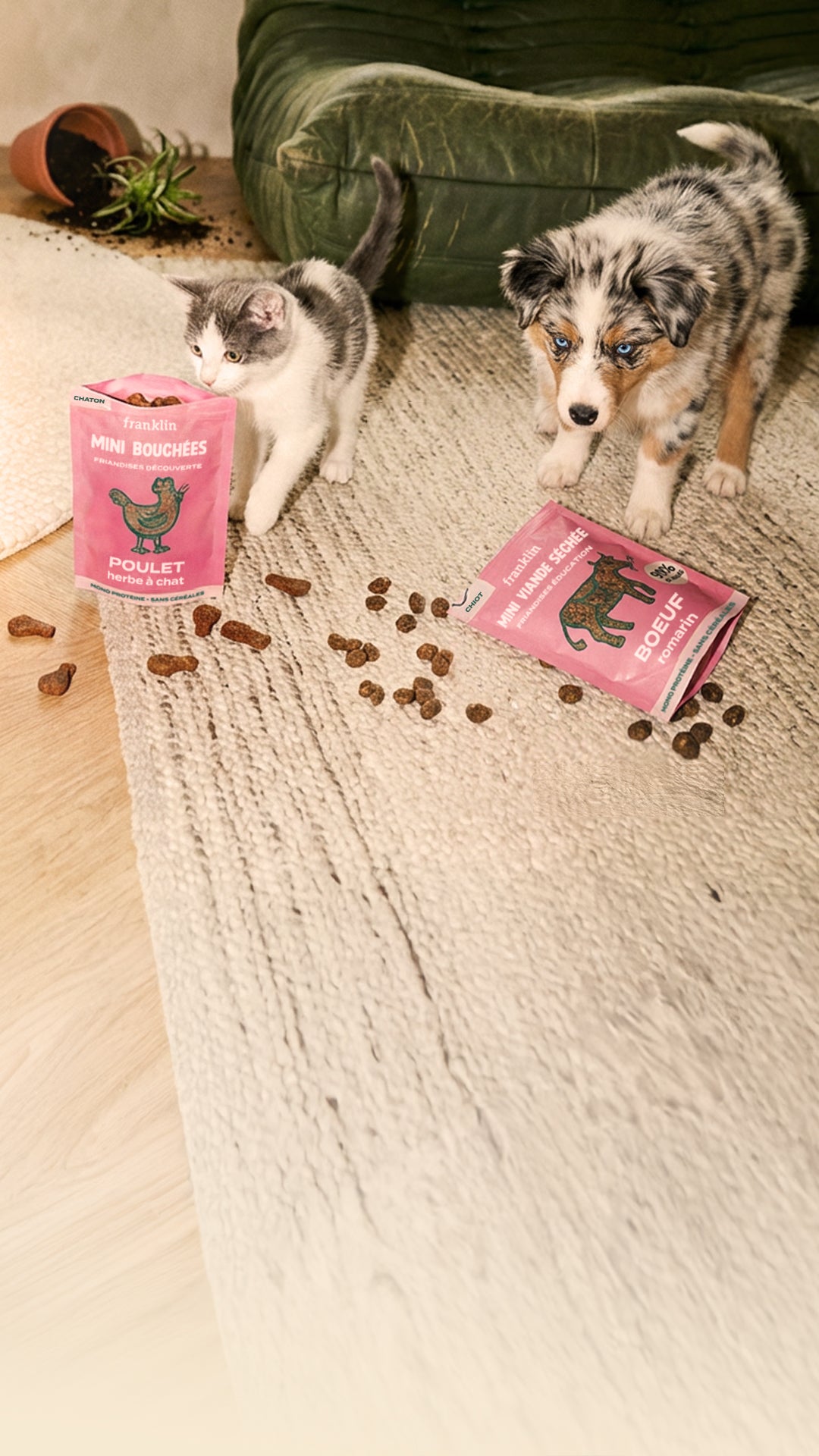 Franklin Alimentation premium pour chien et chat. Choisissez la meilleure nourriture pour votre animal : Croquettes sans céréales riches en protéines et faibles en glucides. Découvrez notre large gamme de pâtées et de friandises riches en viande !
