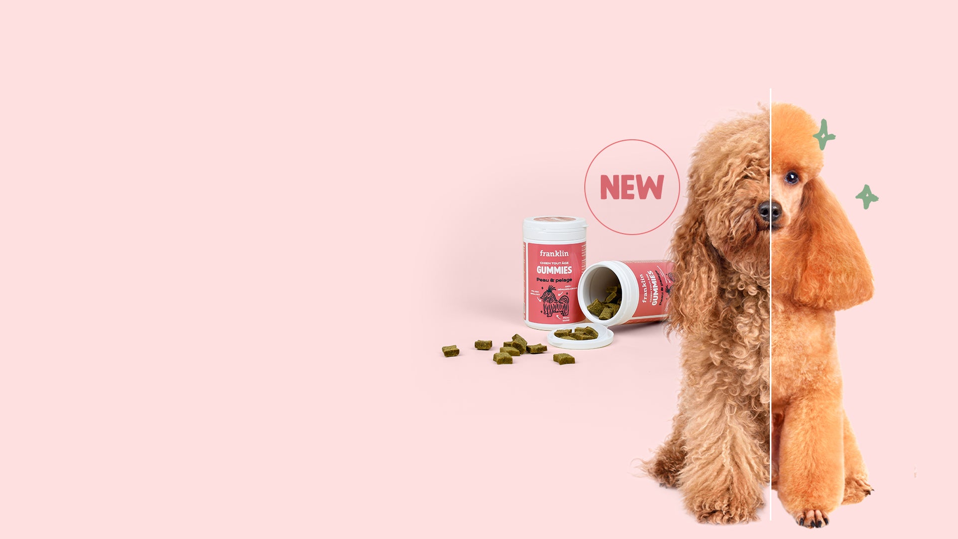 Franklin Alimentation premium pour chien et chat. Choisissez la meilleure nourriture pour votre animal : Croquettes sans céréales riches en protéines et faibles en glucides. Découvrez notre large gamme de pâtées et de friandises riches en viande !