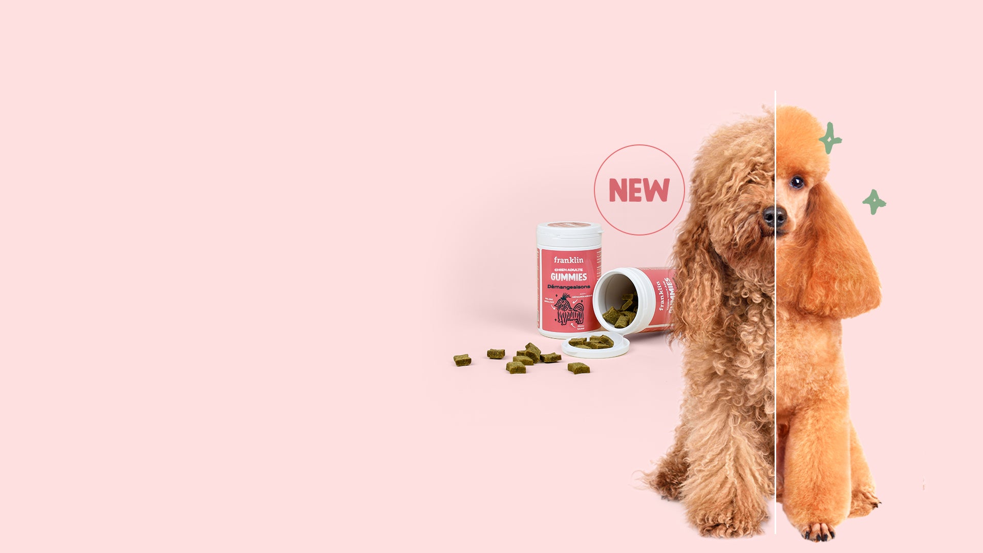 Franklin Alimentation premium pour chien et chat. Choisissez la meilleure nourriture pour votre animal : Croquettes sans céréales riches en protéines et faibles en glucides. Découvrez notre large gamme de pâtées et de friandises riches en viande !