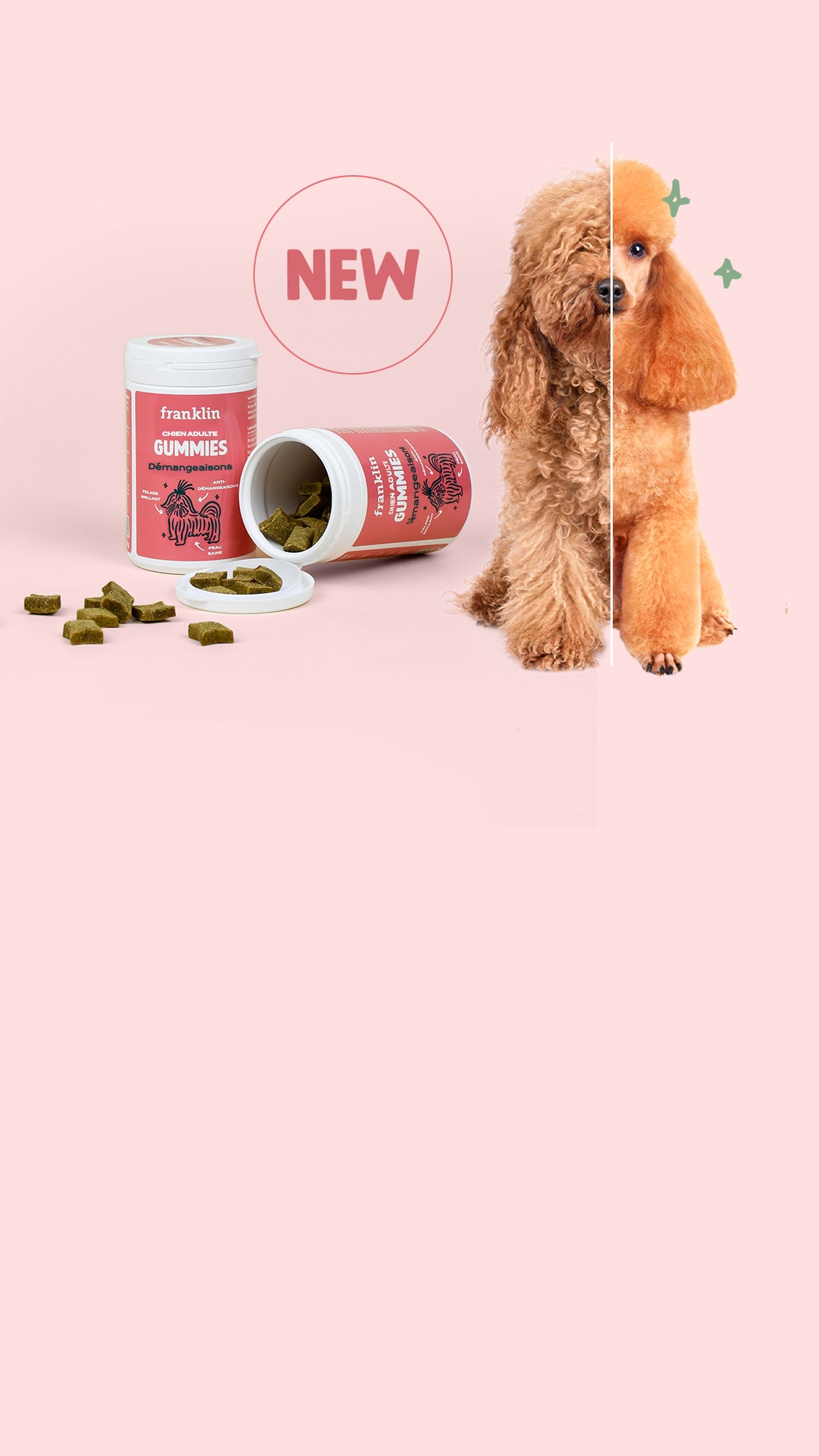 Franklin Alimentation premium pour chien et chat. Choisissez la meilleure nourriture pour votre animal : Croquettes sans céréales riches en protéines et faibles en glucides. Découvrez notre large gamme de pâtées et de friandises riches en viande !