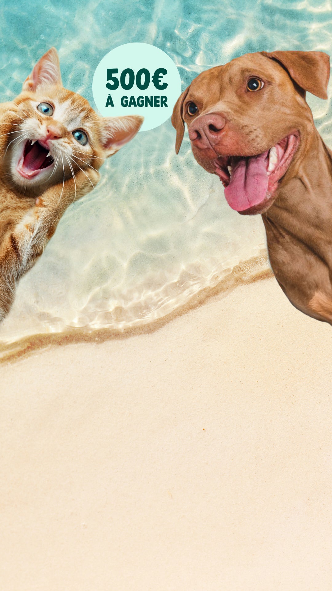 Franklin Alimentation premium pour chien et chat. Choisissez la meilleure nourriture pour votre animal : Croquettes sans céréales riches en protéines et faibles en glucides. Découvrez notre large gamme de pâtées et de friandises riches en viande !