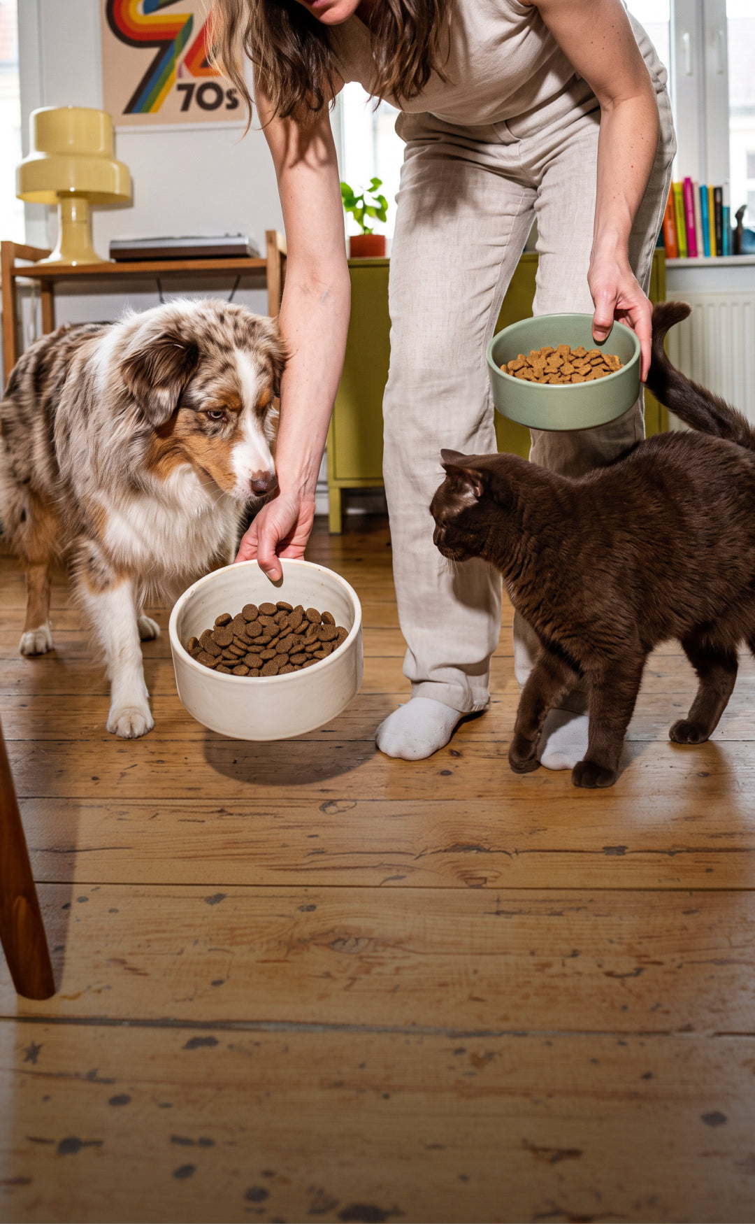 Franklin Alimentation premium pour chien et chat. Choisissez la meilleure nourriture pour votre animal : Croquettes sans céréales riches en protéines et faibles en glucides. Découvrez notre large gamme de pâtées et de friandises riches en viande !
