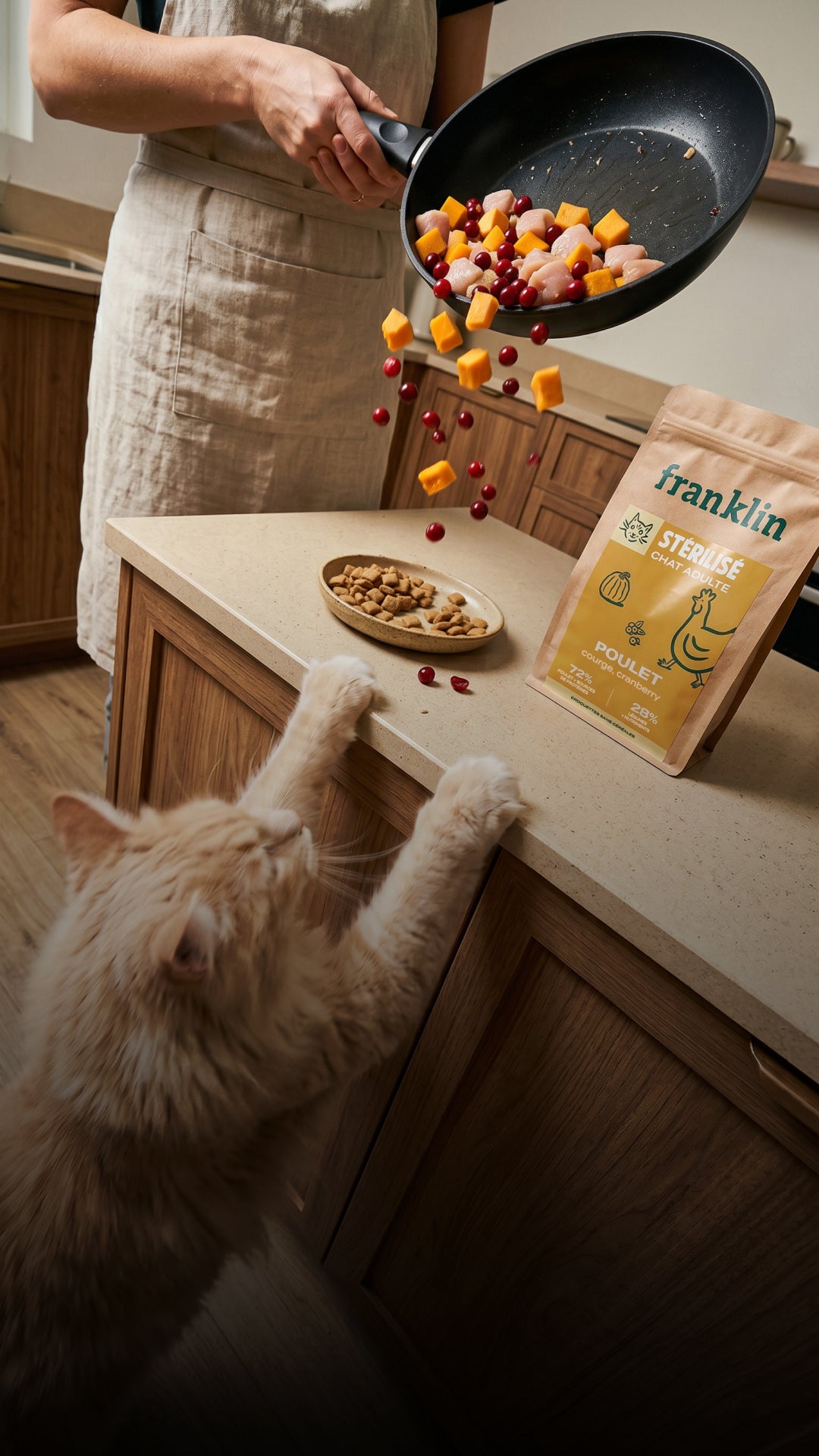 Franklin Alimentation premium pour chien et chat. Choisissez la meilleure nourriture pour votre animal : Croquettes sans céréales riches en protéines et faibles en glucides. Découvrez notre large gamme de pâtées et de friandises riches en viande !