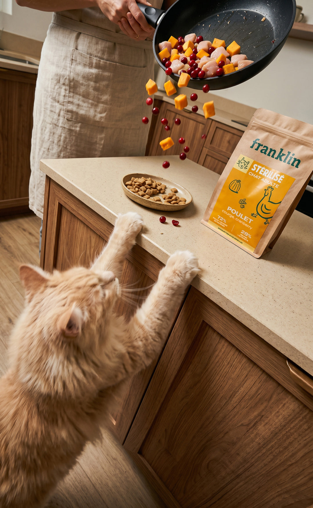 Franklin Alimentation premium pour chien et chat. Choisissez la meilleure nourriture pour votre animal : Croquettes sans céréales riches en protéines et faibles en glucides. Découvrez notre large gamme de pâtées et de friandises riches en viande !