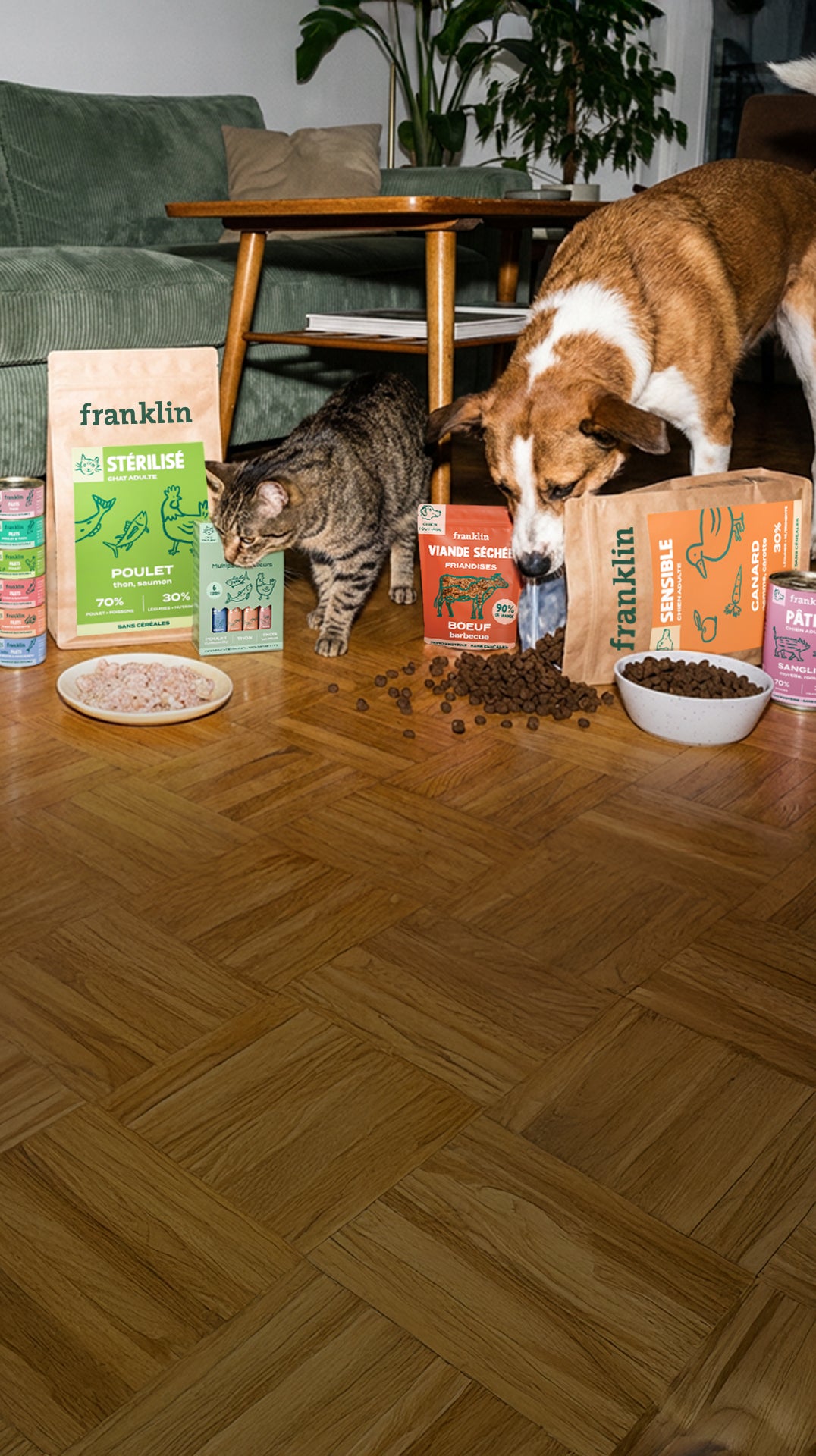 Franklin Alimentation premium pour chien et chat. Choisissez la meilleure nourriture pour votre animal : Croquettes sans céréales riches en protéines et faibles en glucides. Découvrez notre large gamme de pâtées et de friandises riches en viande !