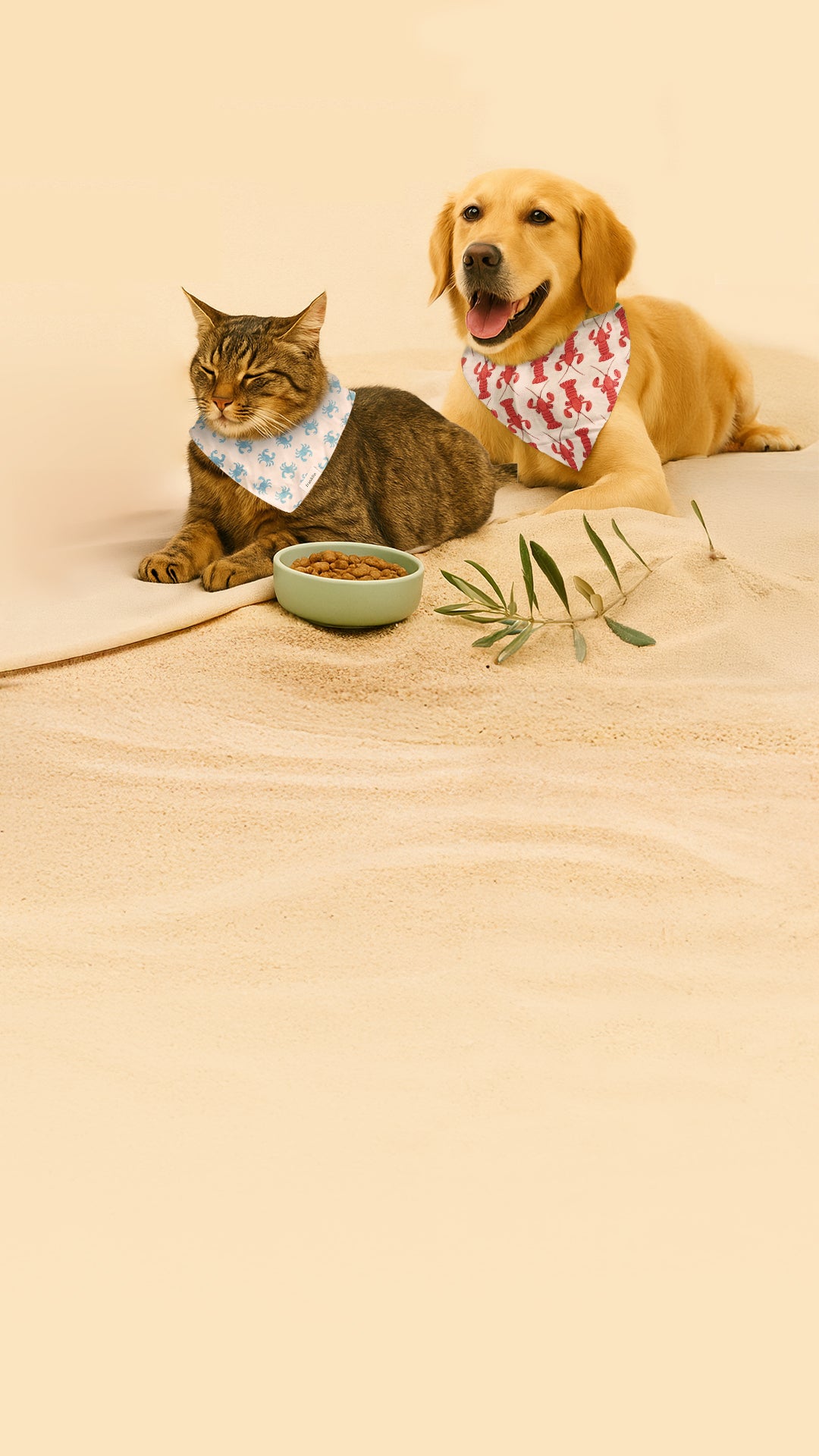 Franklin Alimentation premium pour chien et chat. Choisissez la meilleure nourriture pour votre animal : Croquettes sans céréales riches en protéines et faibles en glucides. Découvrez notre large gamme de pâtées et de friandises riches en viande !