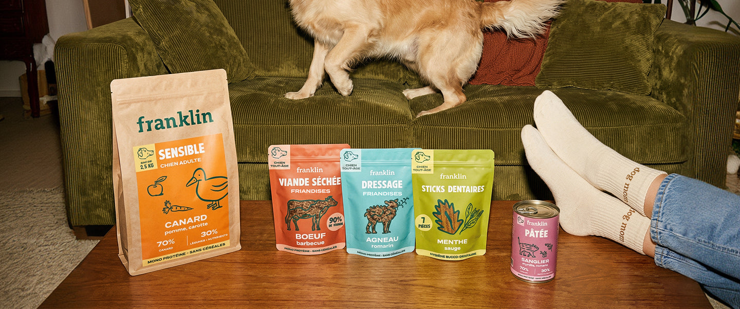 Franklin Alimentation premium pour chien et chat. Choisissez la meilleure nourriture pour votre animal : Croquettes sans céréales riches en protéines et faibles en glucides. Découvrez notre large gamme de pâtées et de friandises riches en viande !