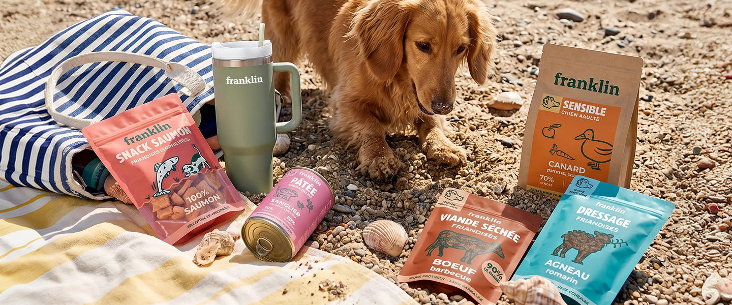 Franklin Alimentation premium pour chien et chat. Choisissez la meilleure nourriture pour votre animal : Croquettes sans céréales riches en protéines et faibles en glucides. Découvrez notre large gamme de pâtées et de friandises riches en viande !
