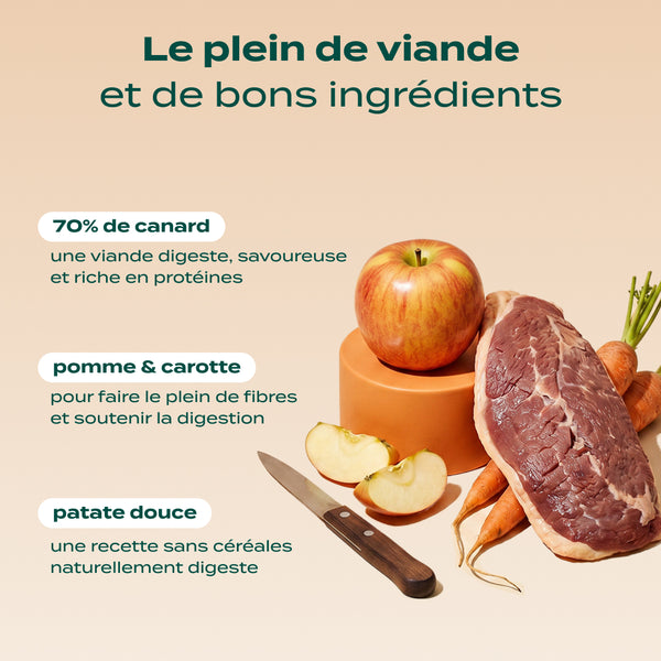 canard-pomme-carotte