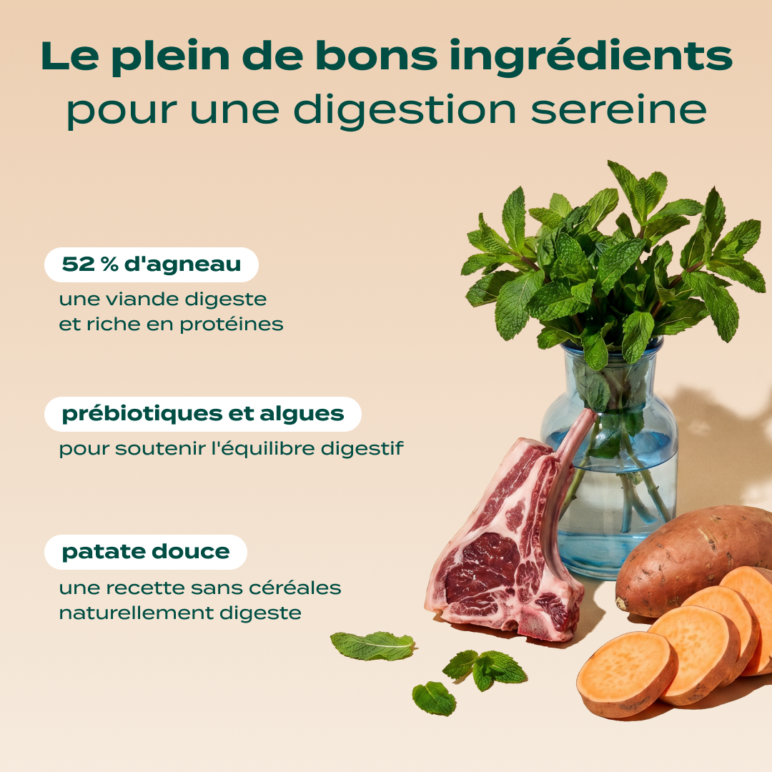 AGNEAU, PATATE DOUCE, MENTHE