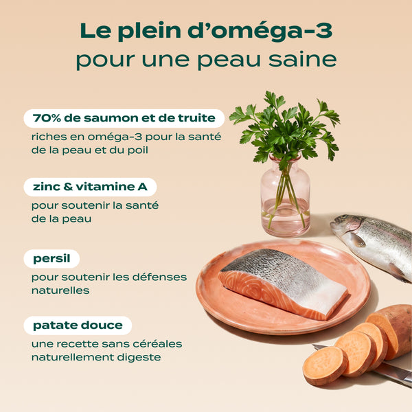 saumon-truite-persil