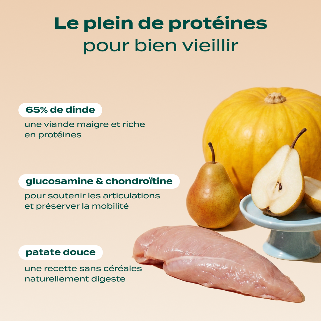 DINDE, COURGE, POIRE