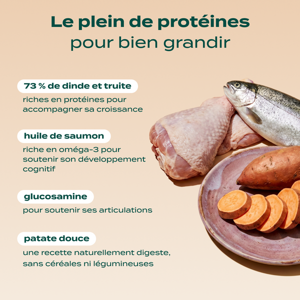 dinde-truite-patate-douce