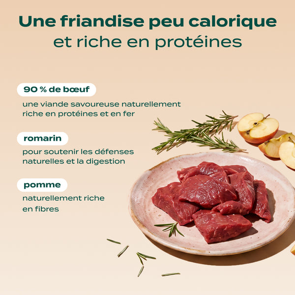 mini-viande-sechee-boeuf