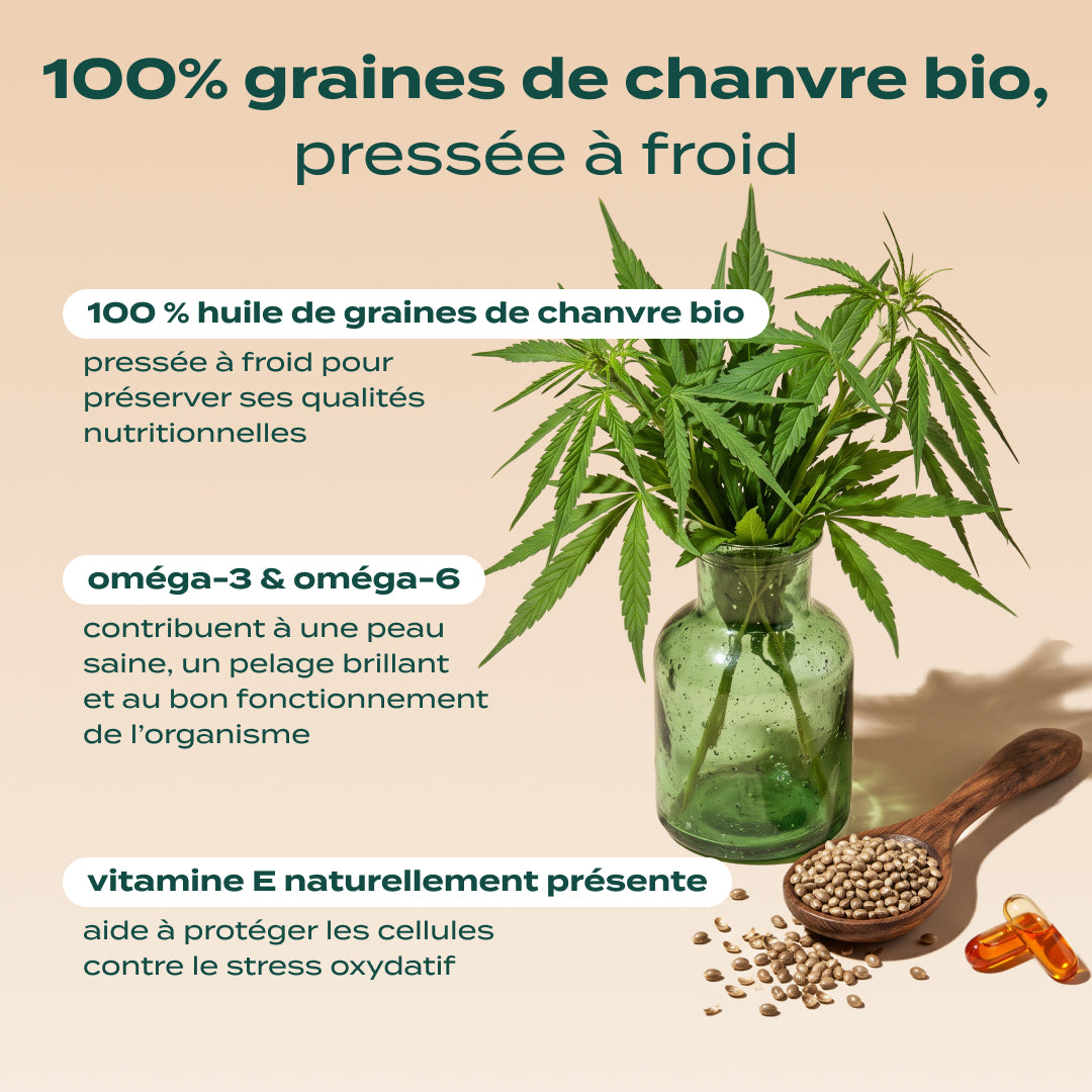 HUILE DE CHANVRE BIO