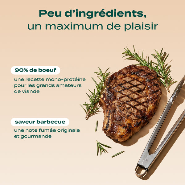 boeuf-seche-barbecue