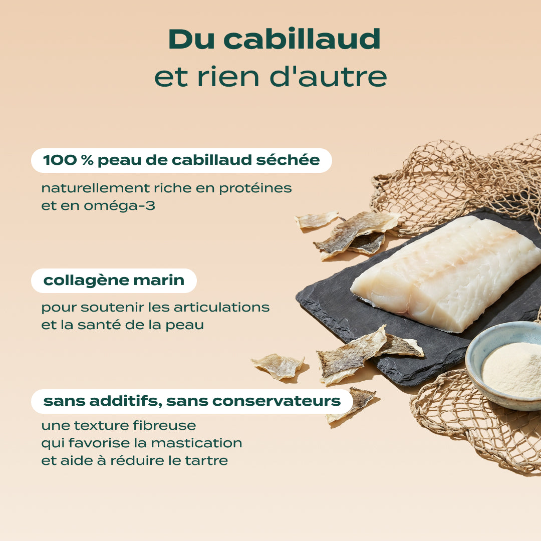 POISSONS À MÂCHER