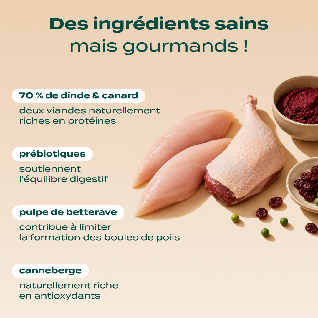DINDE, CANARD, CANNEBERGE