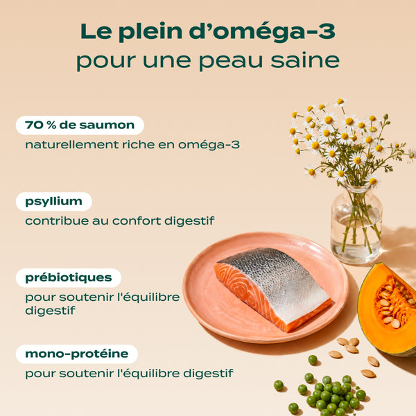 saumon-courge-camomille