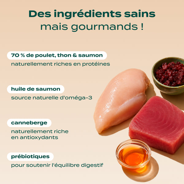 poulet-thon-saumon