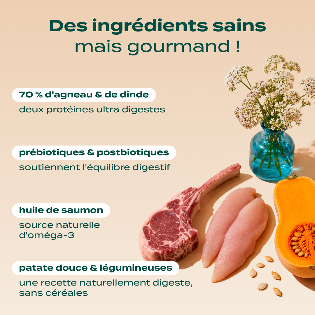 AGNEAU, DINDE, VALÉRIANE