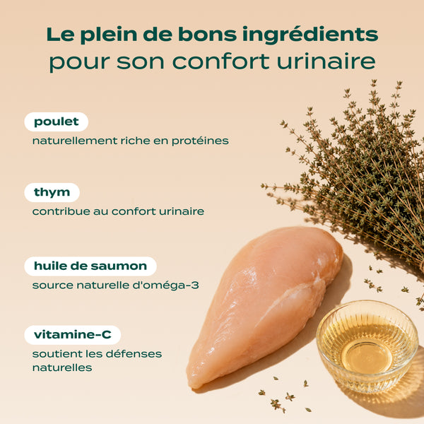 mini-snack-urinaire