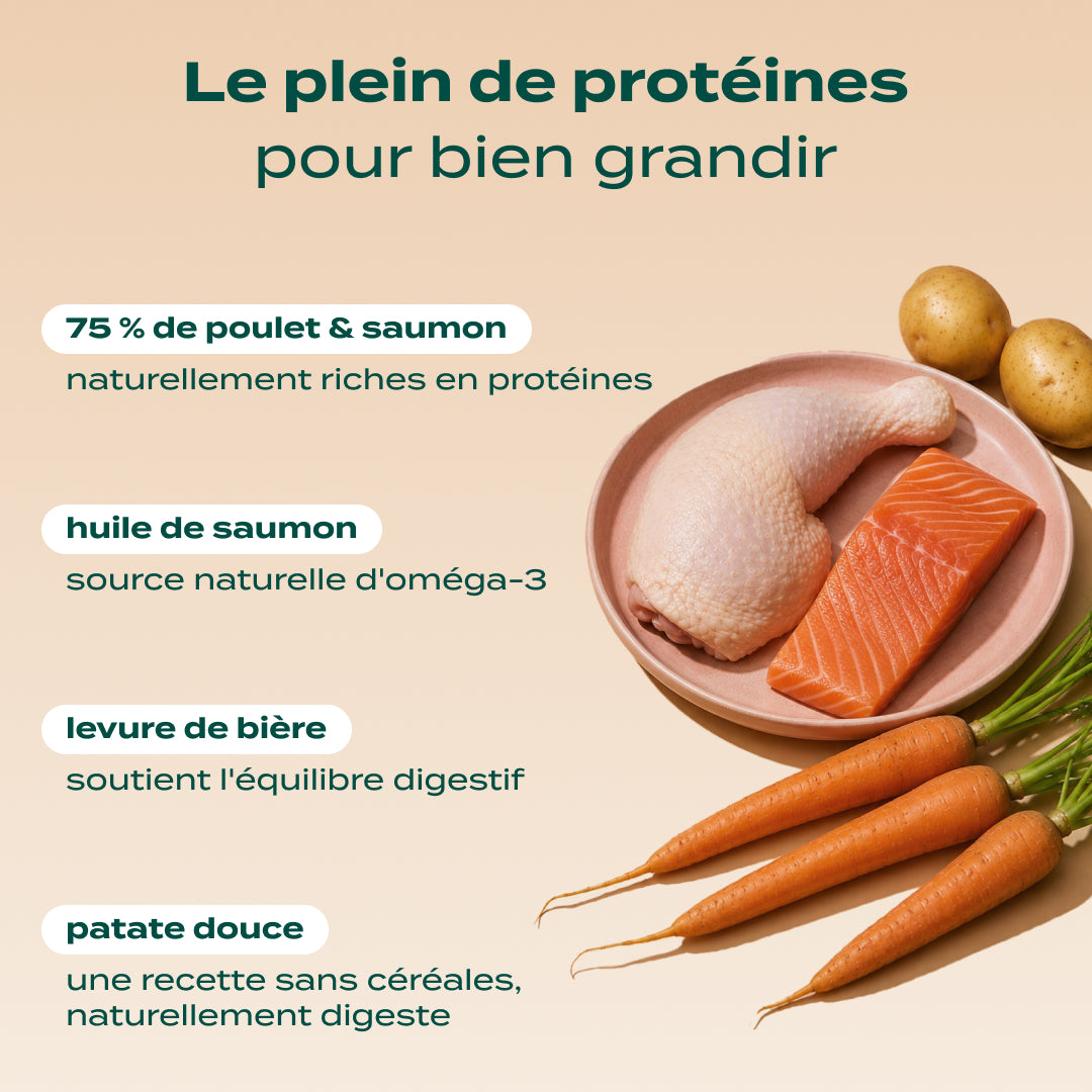 POULET, SAUMON, CAROTTE