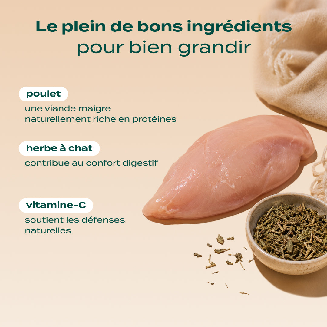 MINI BOUCHÉES POULET