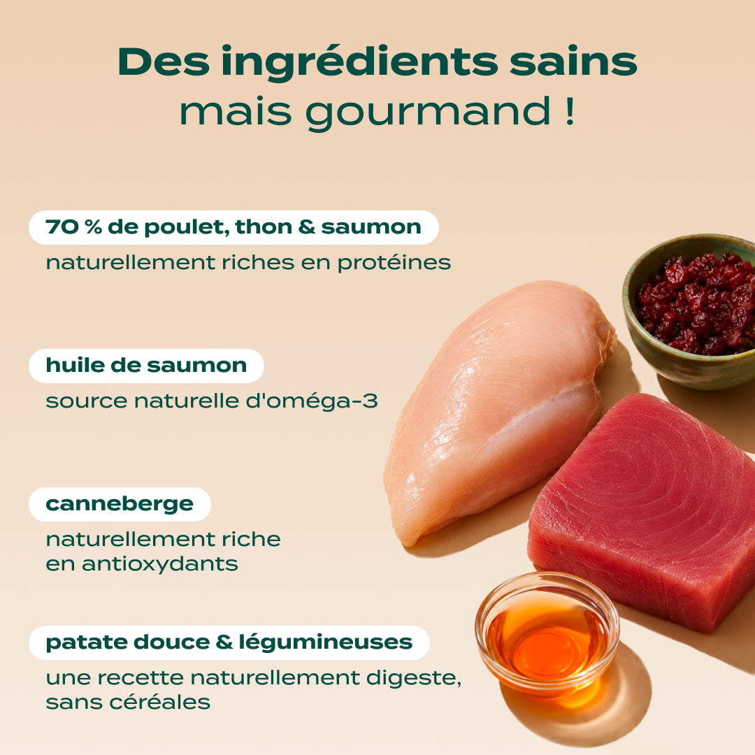 POULET, THON, SAUMON