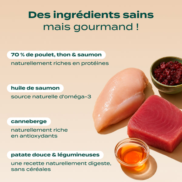 poulet-thon-saumon
