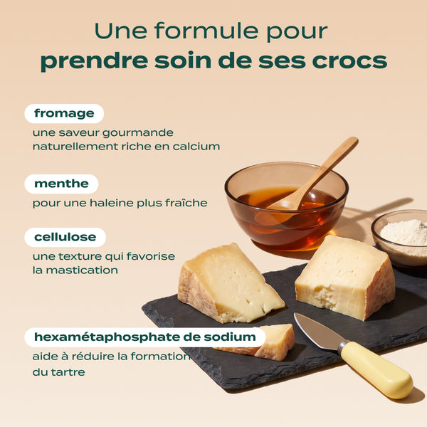 sticks-au-fromage
