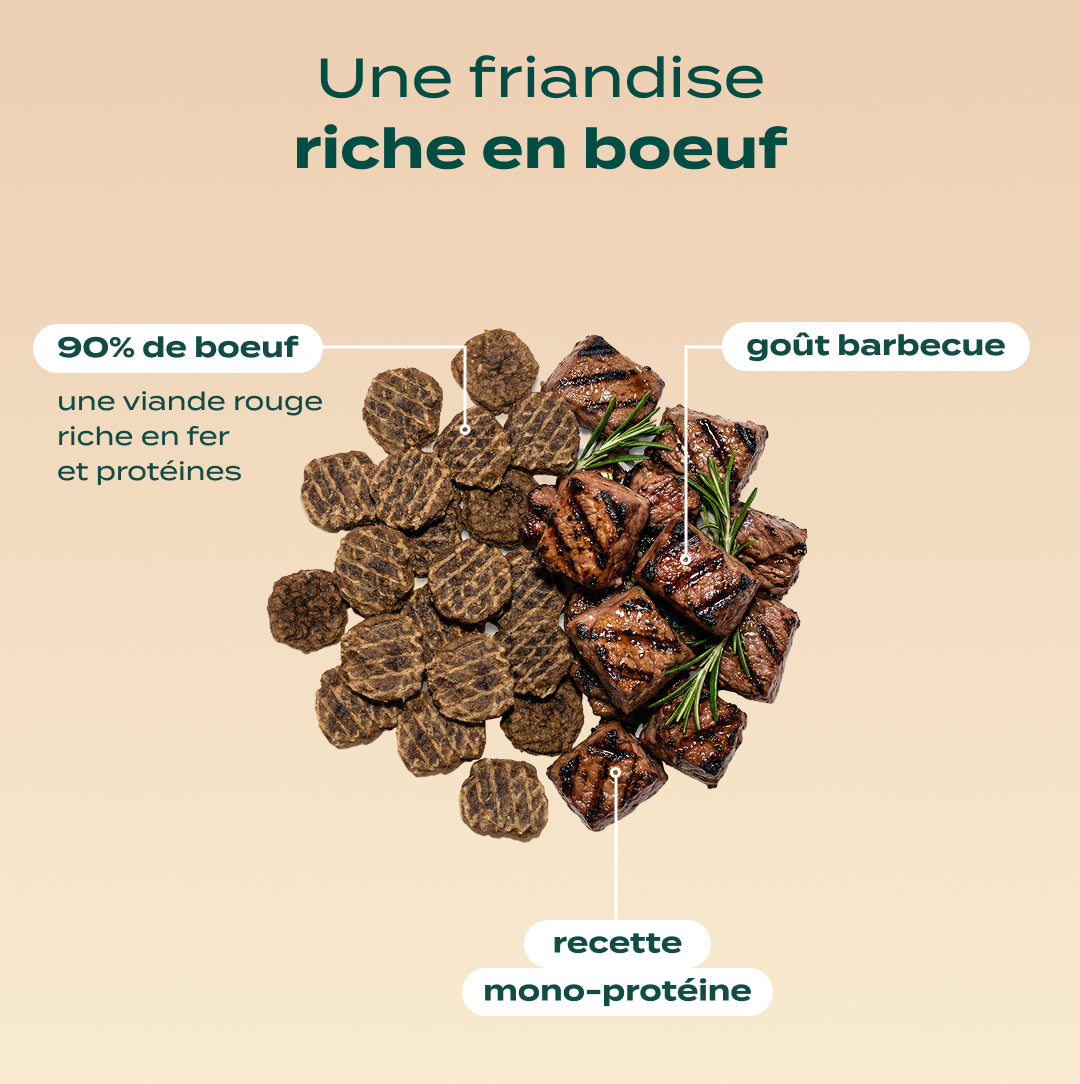 PACK DÉCOUVERTE CHIEN
