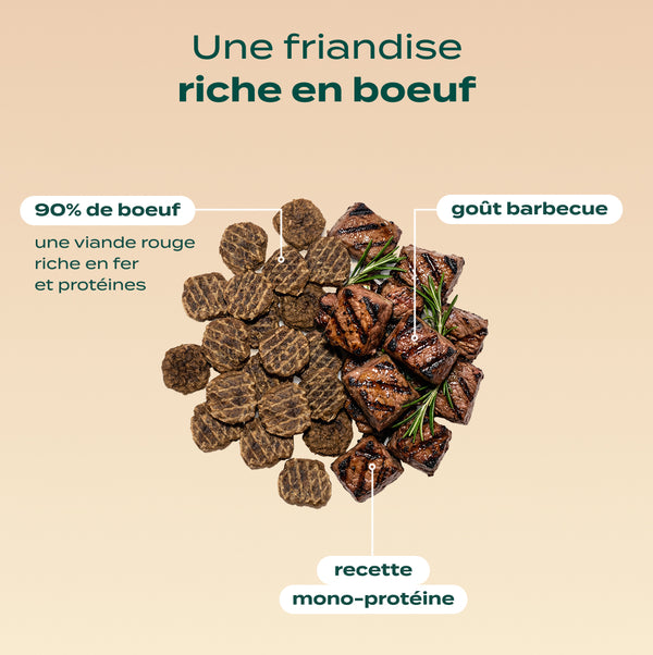 pack-decouverte-chien