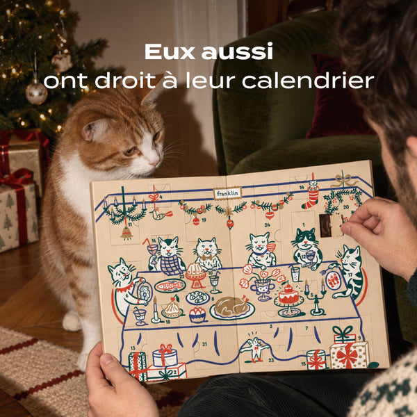 calendrier-de-l-39-avent