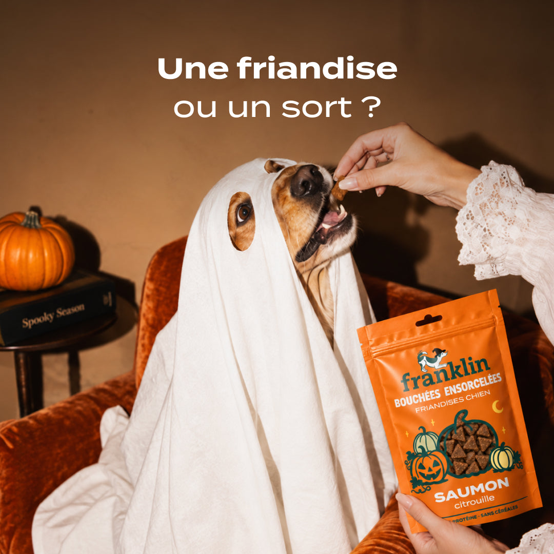 BOUCHÉES ENSORCELÉES SAUMON, CITROUILLE